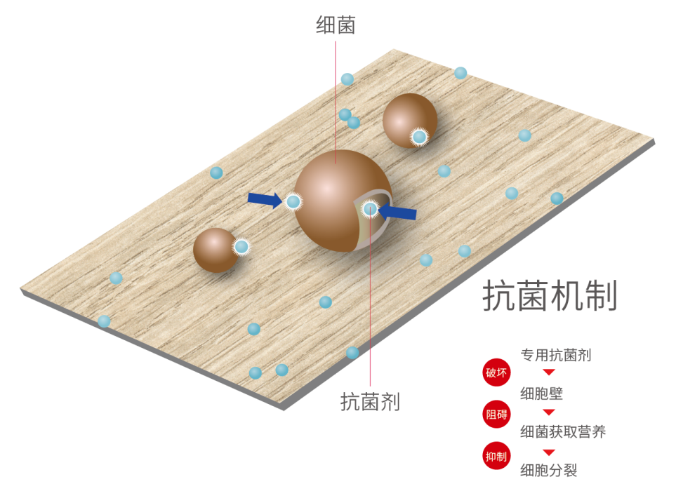 爱克威盛亚洁特耐——实验室空间的“装”与“配”