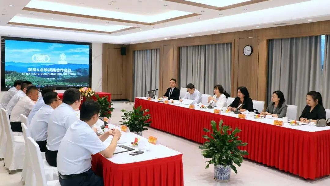 必维集团与双良集团签署战略合作协议，共筑数智化零碳未来