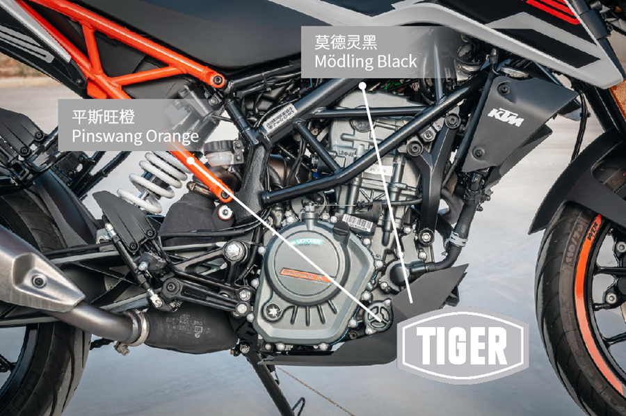 TIGER Color Trend 成就骑士梦想