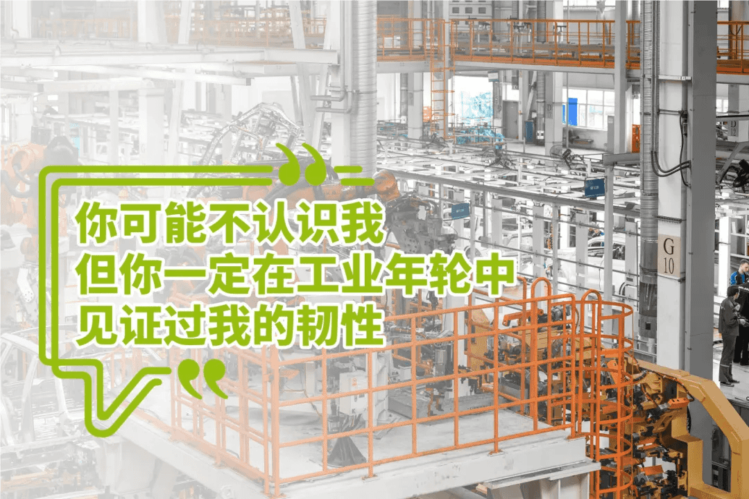 隐形守护者 TIGER：以粉末涂料，点亮生活的有形之美