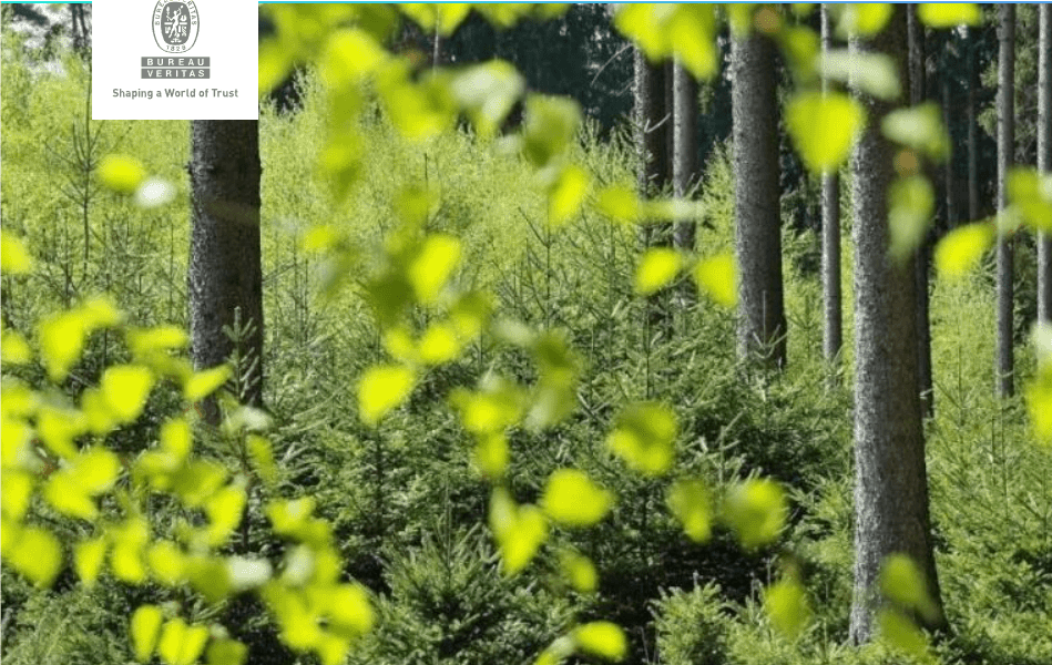 欧盟零毁林法案修订达成临时协议 实施延期且简化规则助力合规