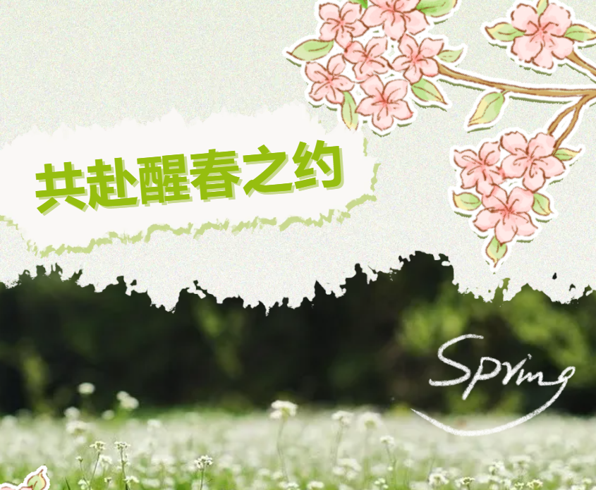 老虎粉末涂料绘染春日色彩，粉末涂料厂家解锁春日涂装美学