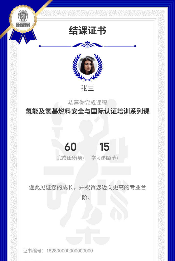 必维氢能安全与国际认证培训课：解锁能源新机遇