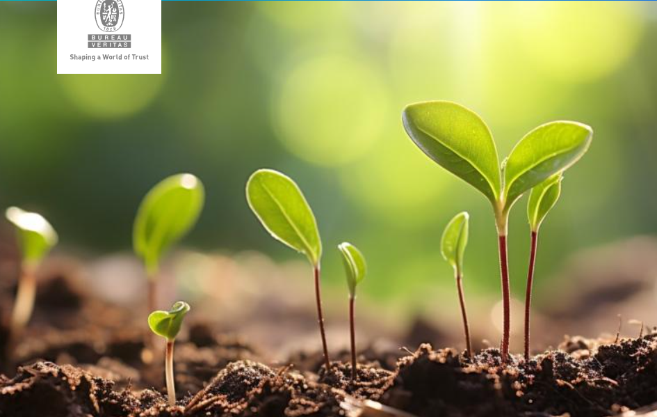 必维助力哈尔斯连续两年卫冕ISCC PLUS共践绿色发展